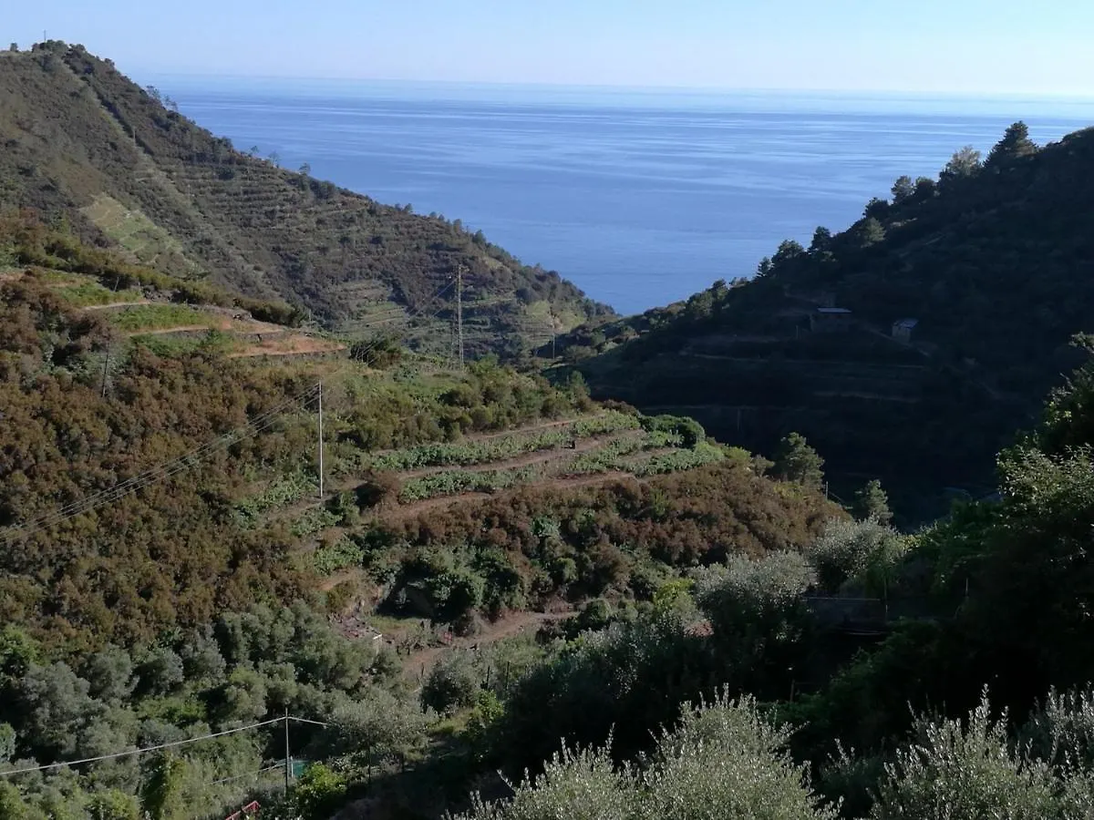 ☆ Terrace & Relax ☆ Casa Franceschin_ Homy 5 Terre Villa Riomaggiore Holiday home