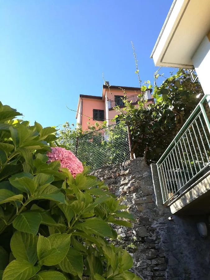 Villa ☆ Terrace & Relax ☆ Casa Franceschin_ Homy 5 Terre à Riomaggiore